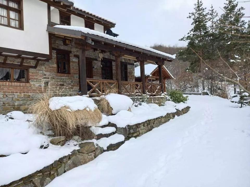 Traditional Cottage - Vila Samovila Delcevo Kültér fotó