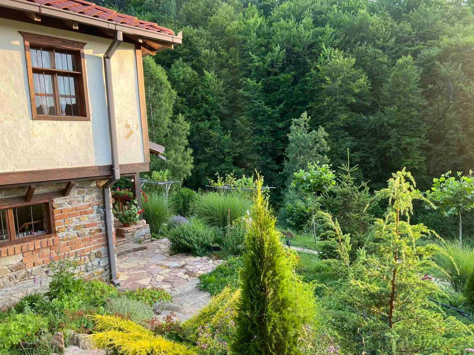 Traditional Cottage - Vila Samovila Delcevo Kültér fotó